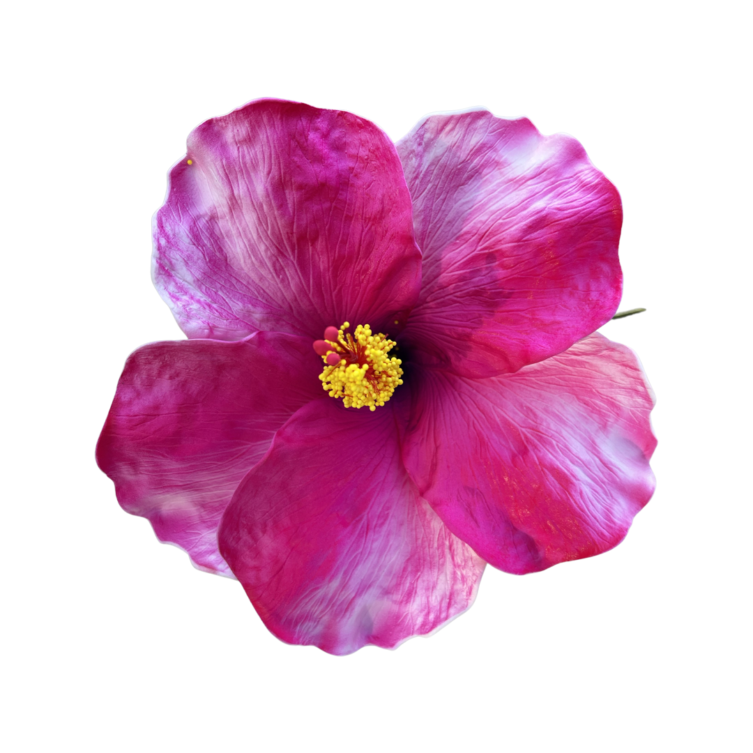 Aute Hotpink/pink