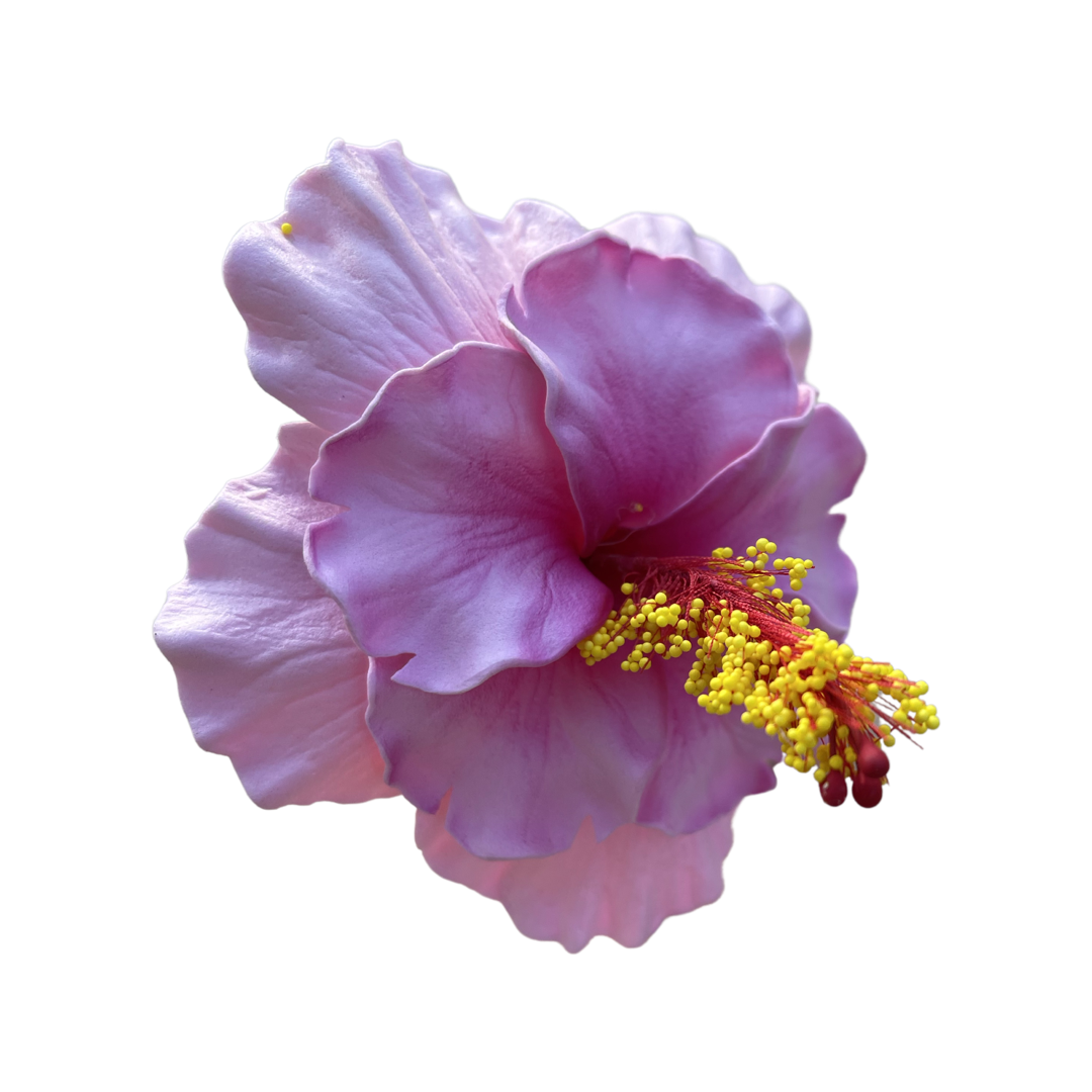 Aute Double Light Pink