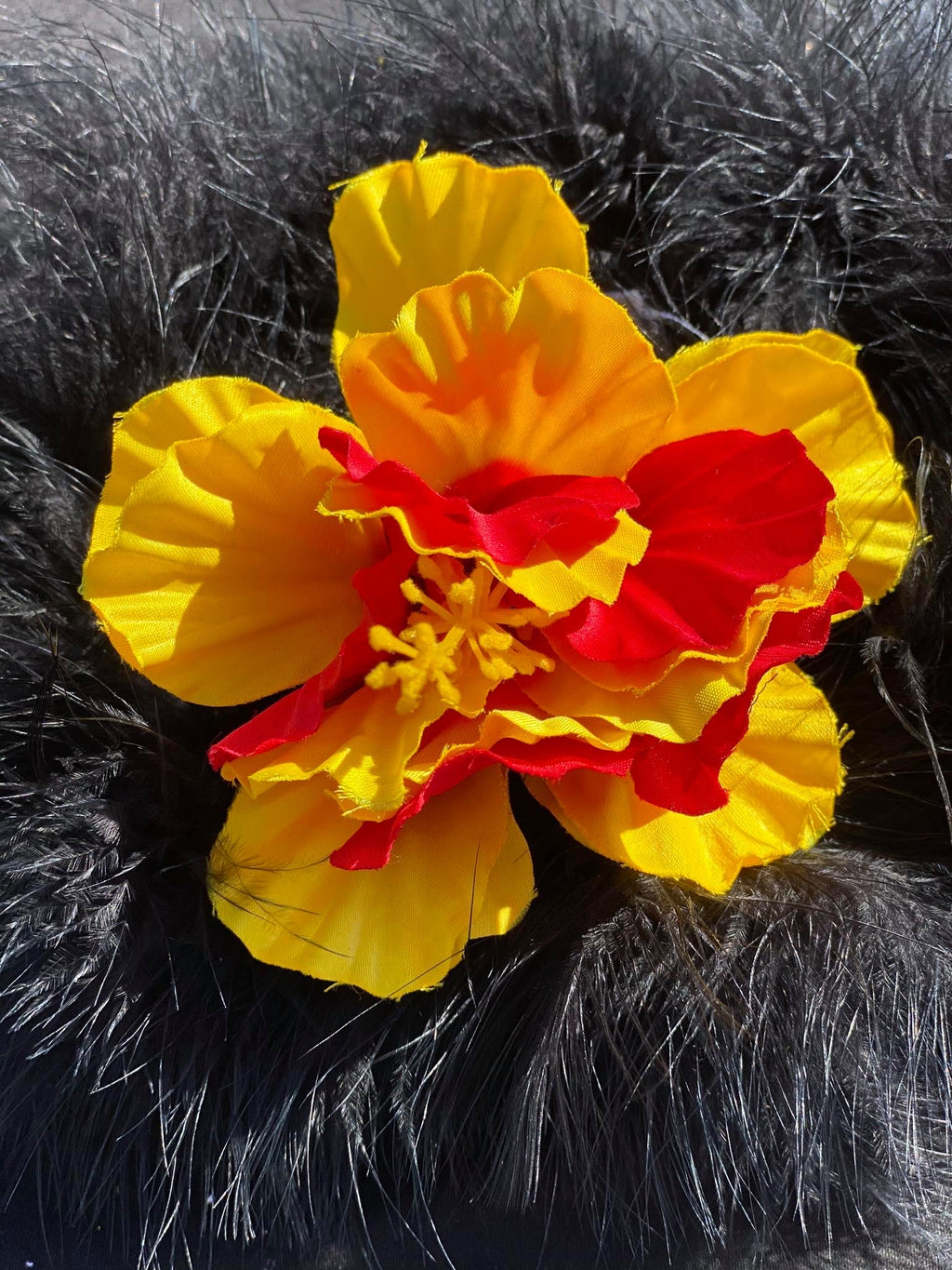 Hibiscus Flowers