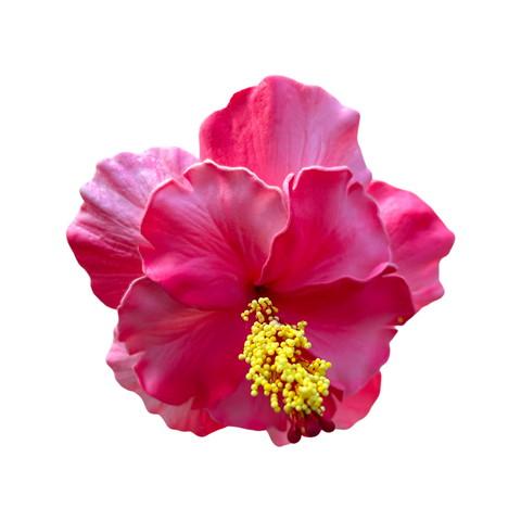 Aute Double Pink/pink