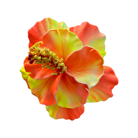 Aute Double Yellow/Orange