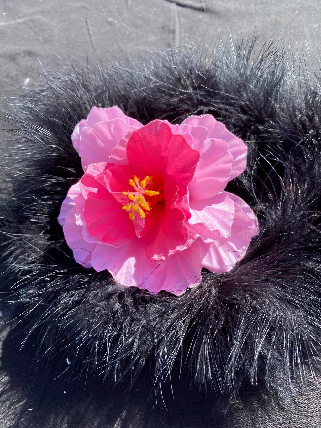 Hibiscus Flowers