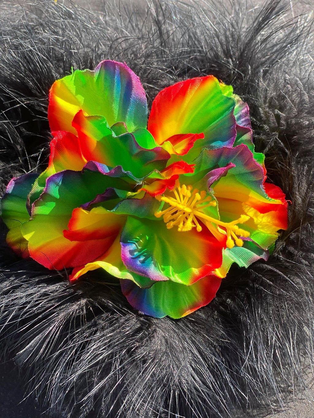 Hibiscus Flowers