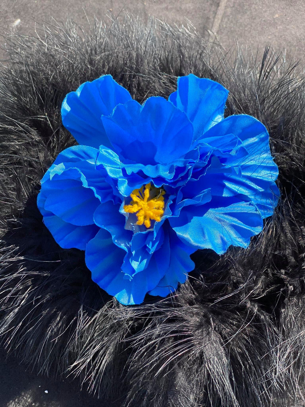 Hibiscus Flowers