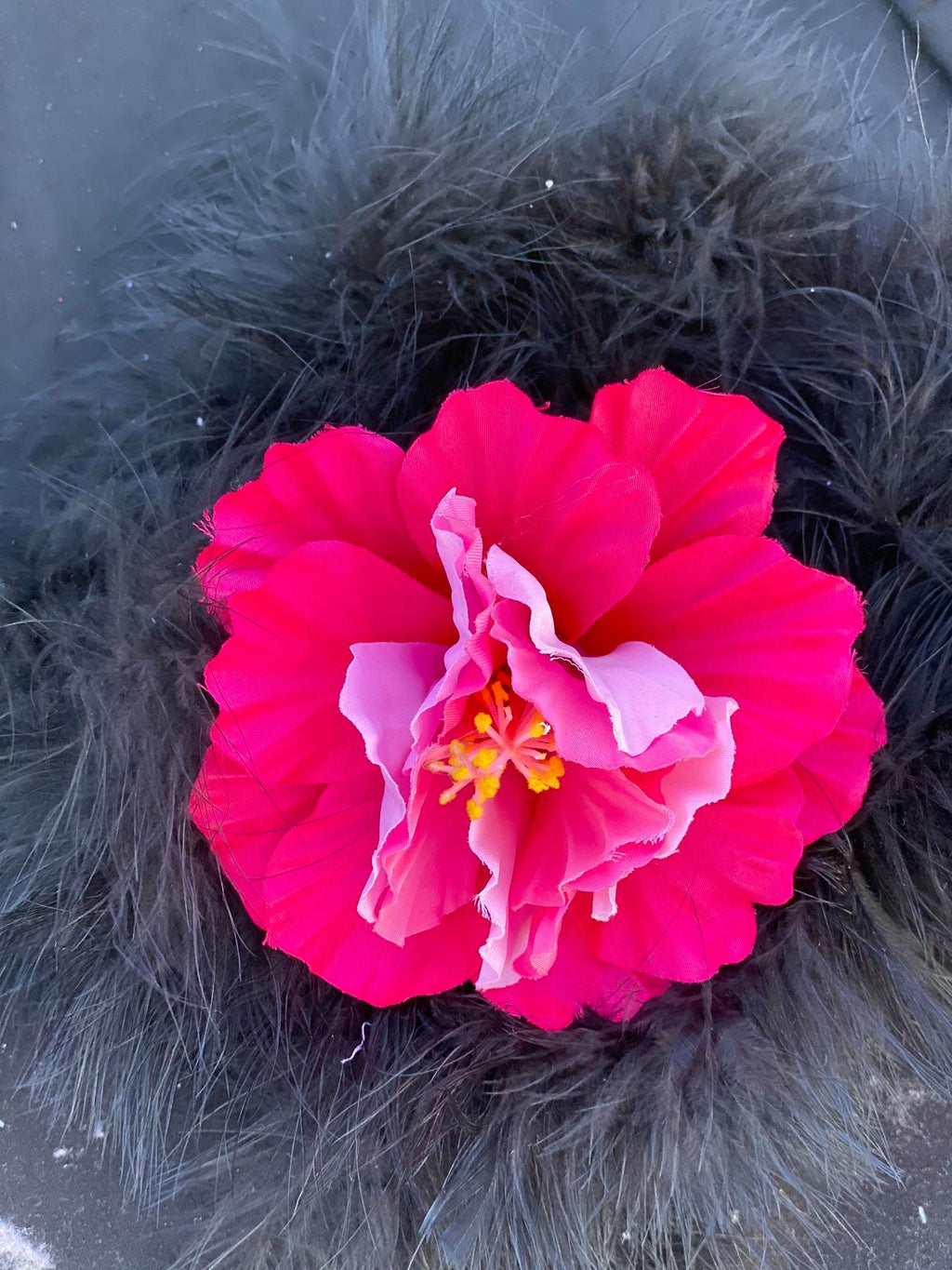 Hibiscus Flowers