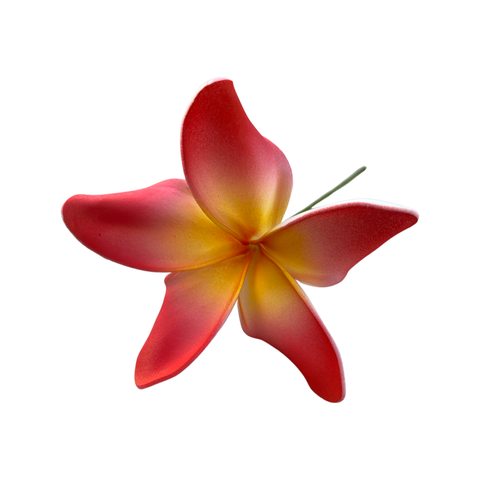 Frangipani Curve red/white