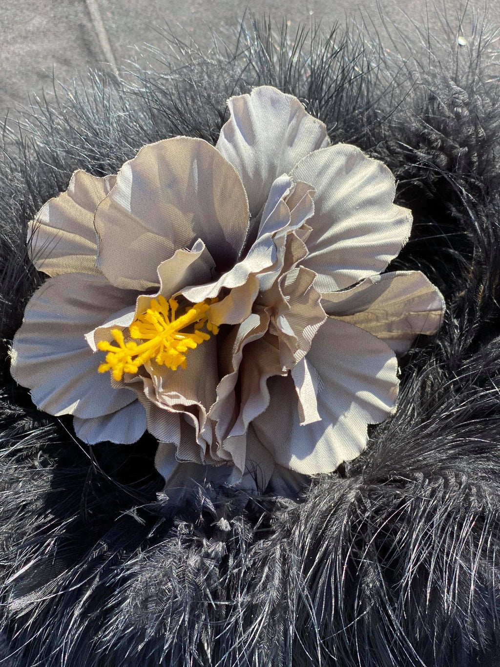 Hibiscus Flowers