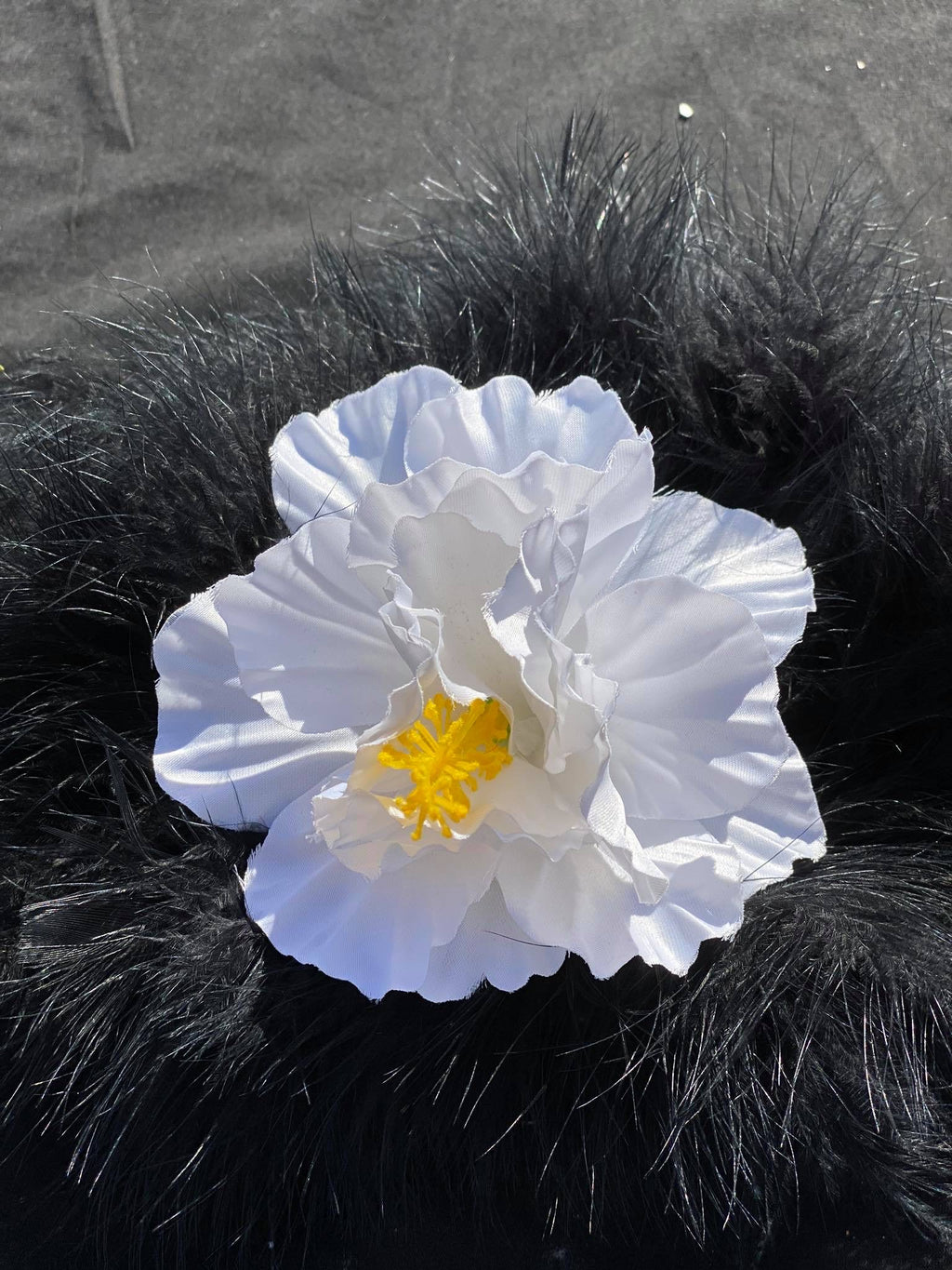 Hibiscus Flowers