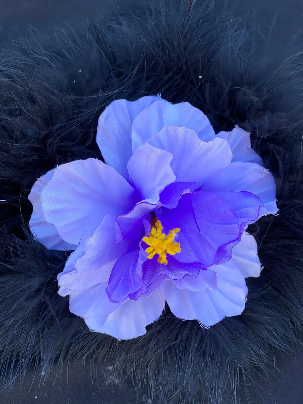 Hibiscus Flowers