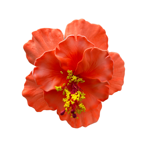 Aute Double Fluro Orange